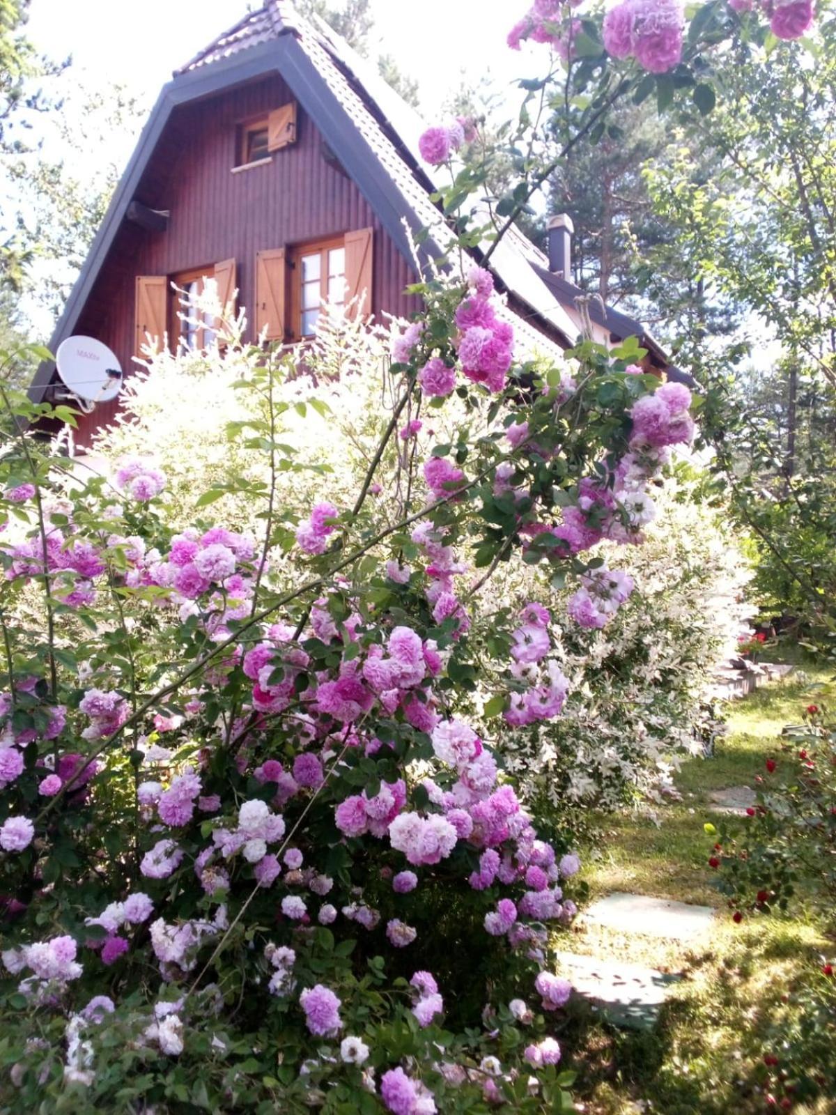 Plitvice Lakes Holiday Lodge Rudanovac Екстериор снимка